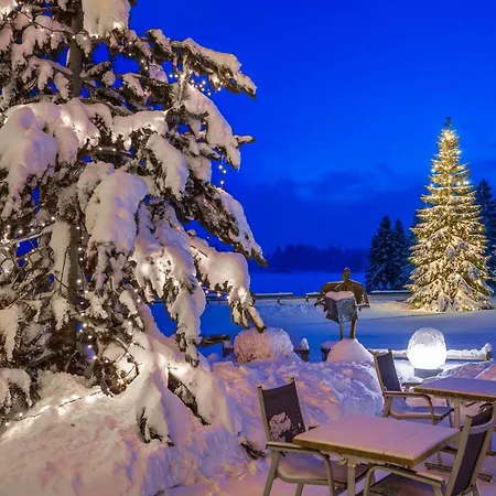 Hotell Seehof Direkt Am Heidsee 3*